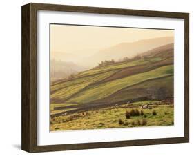 Swaledale, Yorkshire Dales, Yorkshire, England-Steve Vidler-Framed Photographic Print