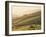 Swaledale, Yorkshire Dales, Yorkshire, England-Steve Vidler-Framed Photographic Print