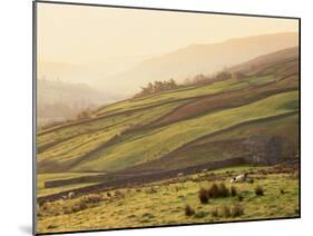 Swaledale, Yorkshire Dales, Yorkshire, England-Steve Vidler-Mounted Photographic Print