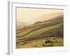 Swaledale, Yorkshire Dales, Yorkshire, England-Steve Vidler-Framed Photographic Print