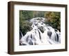 Swallow Falls, Betws-Y-Coed, Gwynedd, Wales-Nigel Francis-Framed Photographic Print