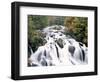 Swallow Falls, Betws-Y-Coed, Gwynedd, Wales-Nigel Francis-Framed Photographic Print