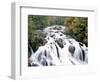 Swallow Falls, Betws-Y-Coed, Gwynedd, Wales-Nigel Francis-Framed Photographic Print