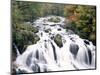 Swallow Falls, Betws-Y-Coed, Gwynedd, Wales-Nigel Francis-Mounted Photographic Print