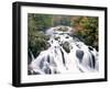 Swallow Falls, Betws-Y-Coed, Gwynedd, Wales-Nigel Francis-Framed Photographic Print