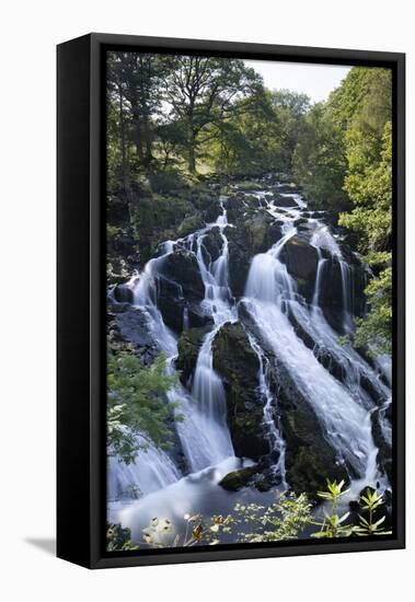 Swallow Falls, Betws-Y-Coed, Snowdonia National Park, Conwy, Wales, United Kingdom, Europe-Stuart Black-Framed Stretched Canvas