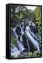 Swallow Falls, Betws-Y-Coed, Snowdonia National Park, Conwy, Wales, United Kingdom, Europe-Stuart Black-Framed Stretched Canvas