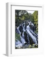 Swallow Falls, Betws-Y-Coed, Snowdonia National Park, Conwy, Wales, United Kingdom, Europe-Stuart Black-Framed Photographic Print