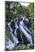 Swallow Falls, Betws-Y-Coed, Snowdonia National Park, Conwy, Wales, United Kingdom, Europe-Stuart Black-Mounted Photographic Print