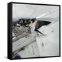 Swallow in Flight at the Nest-CM Dixon-Framed Stretched Canvas