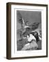 Swallow It, Dog, 1799-Francisco de Goya-Framed Giclee Print