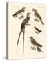 Swallow-Like Birds-null-Stretched Canvas