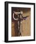 Swallow On Saddlery-Peter Munro-Framed Premium Giclee Print