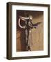 Swallow On Saddlery-Peter Munro-Framed Premium Giclee Print