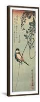 Swallow Perched on a Tendril of Wisteria-Okada Beisanjin-Framed Giclee Print