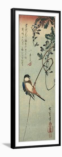 Swallow Perched on a Tendril of Wisteria-Okada Beisanjin-Framed Giclee Print