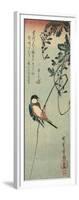 Swallow Perched on a Tendril of Wisteria-Okada Beisanjin-Framed Giclee Print