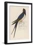 Swallow-Reverend Francis O. Morris-Framed Art Print