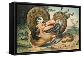 Swallowed!-JS Pughe-Framed Stretched Canvas