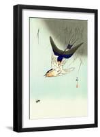 Swallows and Bee-Koson Ohara-Framed Giclee Print