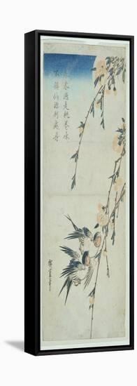 Swallows and Peach Blossom in Moonlight-Ando Hiroshige-Framed Stretched Canvas