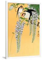 Swallows and Wisteria-Koson Ohara-Framed Giclee Print