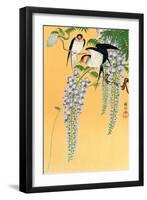 Swallows and Wisteria-Koson Ohara-Framed Premium Giclee Print