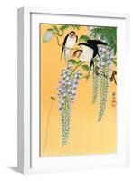Swallows and Wisteria-Koson Ohara-Framed Giclee Print