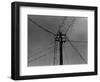 Swallows on Telegraph Pole Getting Ready for Migration-null-Framed Photographic Print