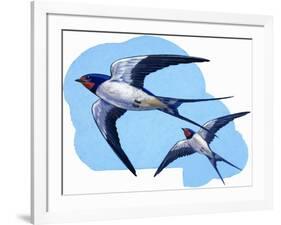 Swallows-R. B. Davis-Framed Giclee Print