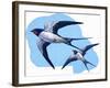 Swallows-R. B. Davis-Framed Giclee Print