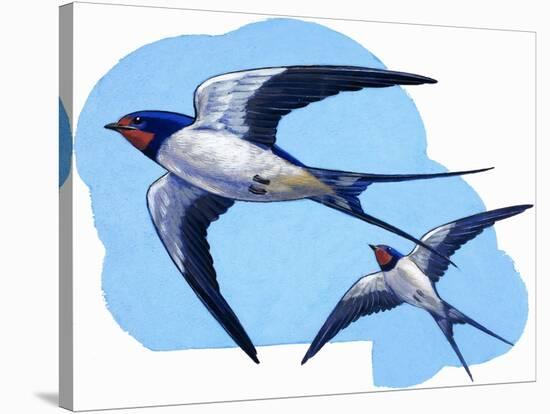 Swallows-R. B. Davis-Stretched Canvas