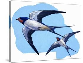 Swallows-R. B. Davis-Stretched Canvas