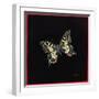 Swallowtail Butterfly, 1999-Amelia Kleiser-Framed Giclee Print