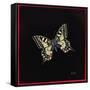 Swallowtail Butterfly, 1999-Amelia Kleiser-Framed Stretched Canvas