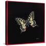 Swallowtail Butterfly, 1999-Amelia Kleiser-Stretched Canvas