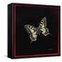 Swallowtail Butterfly, 1999-Amelia Kleiser-Framed Stretched Canvas