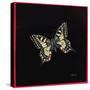 Swallowtail Butterfly, 1999-Amelia Kleiser-Stretched Canvas