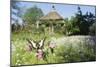 Swallowtail Butterfly on Red Campion in Field-null-Mounted Photographic Print