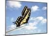 Swallowtail on a Blade of Grass-William Whitehurst-Mounted Photographic Print