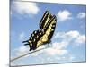 Swallowtail on a Blade of Grass-William Whitehurst-Mounted Photographic Print