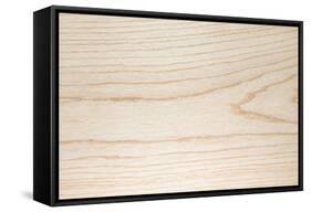 Swamp Ash Texture (Green Ash or Red Ash (Fraxinus Pennsylvanica )). Sought after Wood for Guitar Ma-landio-Framed Stretched Canvas