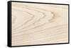 Swamp Ash Texture (Green Ash or Red Ash (Fraxinus Pennsylvanica )). Sought after Wood for Guitar Ma-landio-Framed Stretched Canvas