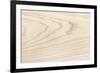 Swamp Ash Texture (Green Ash or Red Ash (Fraxinus Pennsylvanica )). Sought after Wood for Guitar Ma-landio-Framed Photographic Print