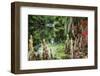 Swamp Cypress With Spanish Moss And Azalea-George Oze-Framed Photographic Print