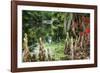 Swamp Cypress With Spanish Moss And Azalea-George Oze-Framed Photographic Print