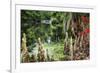 Swamp Cypress With Spanish Moss And Azalea-George Oze-Framed Photographic Print