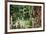 Swamp Cypress With Spanish Moss And Azalea-George Oze-Framed Photographic Print