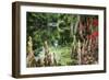 Swamp Cypress With Spanish Moss And Azalea-George Oze-Framed Photographic Print