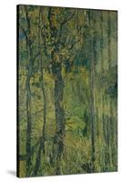 Swamp Forest, 1917-Alexander Yakovlevich Golovin-Stretched Canvas